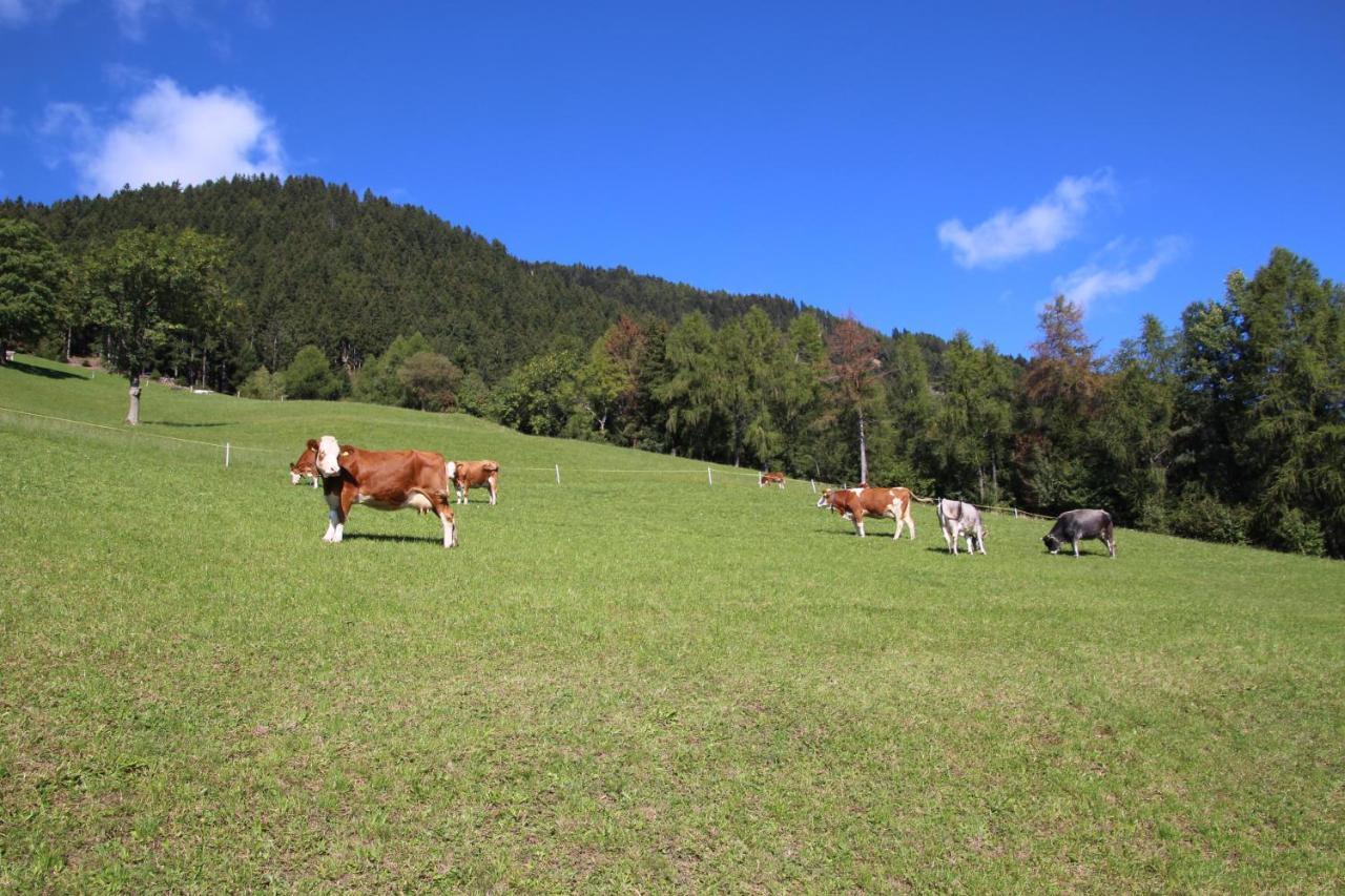 Gasthof Walde Rifiano Dış mekan fotoğraf