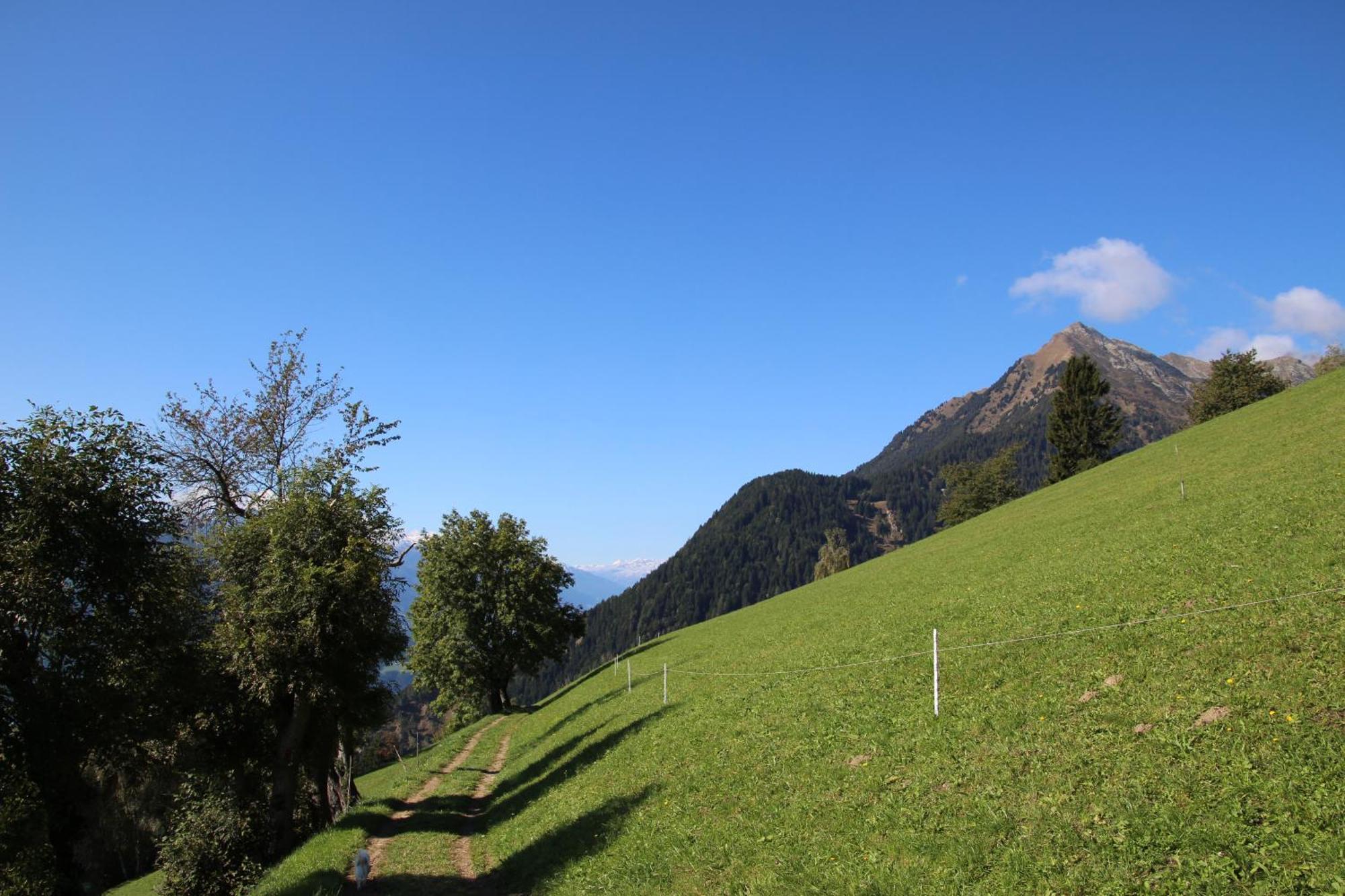 Gasthof Walde Rifiano Dış mekan fotoğraf