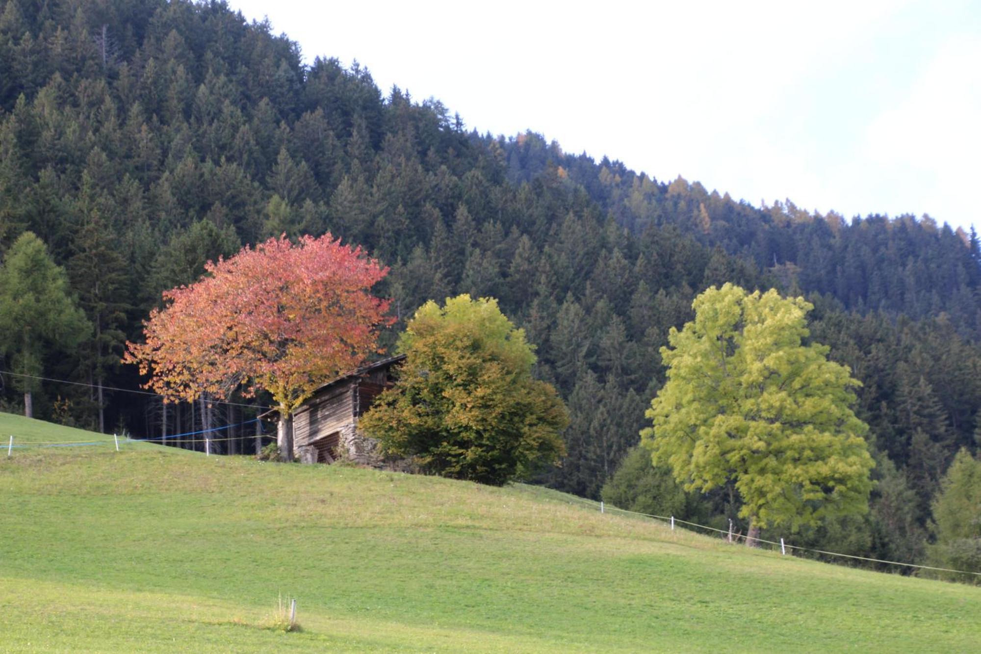 Gasthof Walde Rifiano Dış mekan fotoğraf